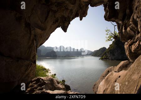 Karsthöhle im Lebensraum der Katze Ba langurs, Ha Long Bay, UNESCO-Weltkulturerbe, Vietnam. Stockfoto