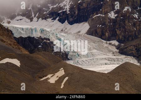 Athabasca Glacier, Athabasca Glacier Provincial Park, British Columbia, Kanada, Juli 2010. Stockfoto