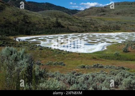 See, eine Kochsalzlösung endorheic Alkali Lake, ein Medizin See für die Okanagan Syilx Menschen, British Columbia, Kanada, Juli beschmutzt. Stockfoto