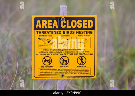 Schild „Gebiet geschlossen“, wegen Brutvögel einschließlich Seeschwalbe, Least Seeschwalbe, Rohrpfeifer, Dennisport, Massachusetts, USA, August. Stockfoto