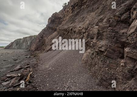 Erosion auf geschichteten Schichten mit Fossilien an Joggins Fossil Cliffs und UNESCO-Weltkulturerbe, Bay of Fundy, Nova Scotia, Kanada. Mai 2017 Stockfoto