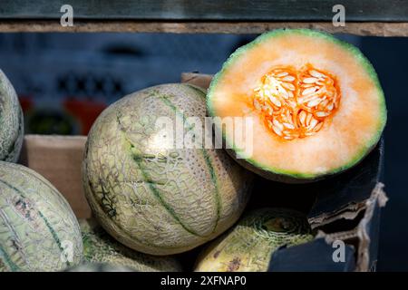 Eine reife, frische Melone, in zwei Hälften geschnitten und auf ganze Melonen auf einem Marktstand im Freien gelegt. Stockfoto