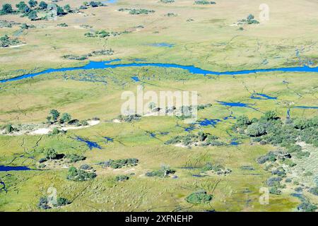 Aus der Vogelperspektive des Okavango-Deltas mit einem Kanal, der sich durch den Sumpf und die Inseln schlängelt, Botswana, Afrika Stockfoto