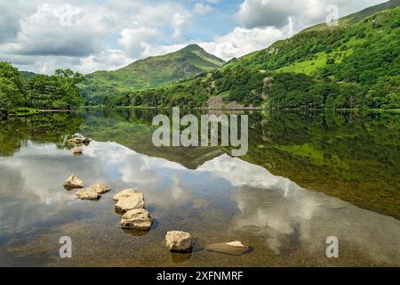 Reflexionen in Llyn Gwynant im Glaslyn Valley mit Blick nach Westen mit Yr Aran Berg im Hintergrund, Snowdonia National Park, Nordwales, Großbritannien, Juni. Stockfoto