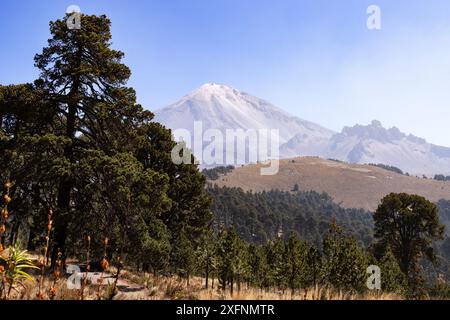 Pico de Orizaba; Nationalpark; Vulkan und höchster Berg Mexikos, alias Citlaltepetl; im Sommer. Mexikanische Landschaft; Veracruz Mexiko. Stockfoto