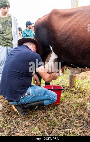 Mogotes, Santander, Kolumbien, 28. Juni 2024, ein Mann melkt eine Kuh, während sein Sohn ihn bei einem traditionellen Wettbewerb auf den Stadtfesten beobachtet, Fotosequen Stockfoto