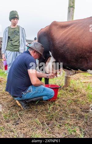 Mogotes, Santander, Kolumbien, 28. Juni 2024, ein Mann melkt eine Kuh, während sein Sohn ihn bei einem traditionellen Wettbewerb auf den Stadtfesten beobachtet, Fotosequen Stockfoto