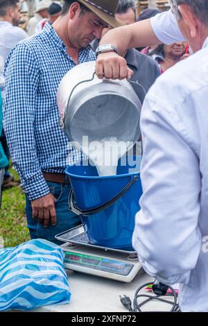 Mogotes, Santander, Kolumbien, 28. Juni 2024, die Jury eines Milchkuhwettbewerbs wägt die Milch eines Teilnehmers Stockfoto