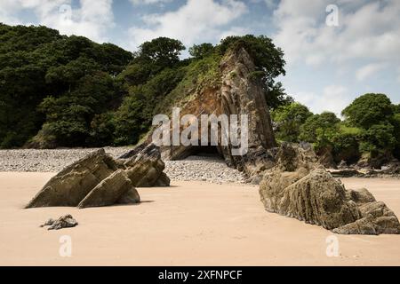 Die Ladies Cave Anticline, eine asymmetrische Chevronfalte, die während der variszischen Orogenese gebildet wurde, in Karbon, Westfalen, Unterkohle-Messungen, Sedimenten. Saundersfoot, Pembrokeshire, Wales. Juni 2017 Stockfoto