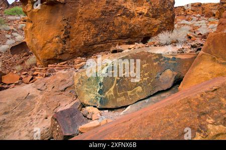 Antike Felszeichnungen von Tieren, Twyfelfontein UNESCO-Weltkulturerbe, Kunene Region, Nordwesten Namibias. März 2017. Eine der größten Konzentrationen von Felspetroglyphen in Afrika Stockfoto