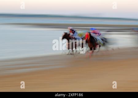 Sanlucar Horse Race, eine Reihe von Pferderennen, die jährlich am Strand von Sanlucar de Barrameda, Andalusien, im August 2016 stattfinden. Stockfoto