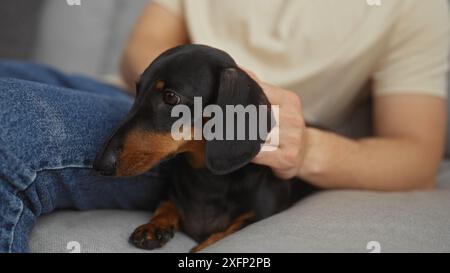 Ein Mann streichelt sanft seinen Dackel, während er auf einer Couch in einem gemütlichen Wohnzimmer sitzt und einen zarten Moment der Gemeinschaft zu Hause festnimmt. Stockfoto