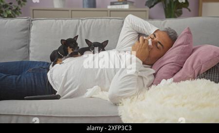 hispanischer Mann mittleren Alters mit zwei Chihuahuas, die auf einem Sofa in einem Wohnzimmer liegen und ein Taschentuch an der Nase halten. Stockfoto