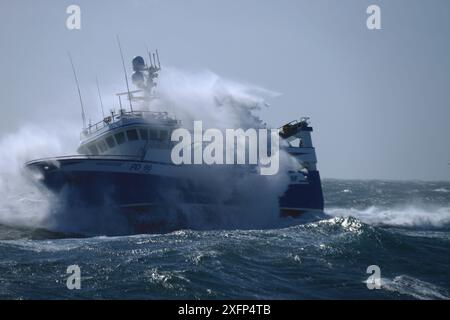 Fischereifahrzeug 'Harvester', das während eines Sommersturms zu den Fanggründen östlich von Shetland fährt. August 2016. Eigenschaft freigegeben. Eigenschaft freigegeben. Stockfoto