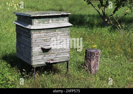 Bienenstöcke aus Holz für Bienen auf grünem Gras in der Natur. Altes Bienenhaus mit Bienenstöcken im Garten. Stockfoto