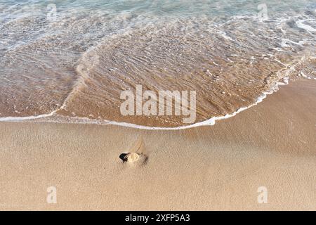 Aus der Vogelperspektive auf eine Einzelperson, die allein an einem Sandstrand spaziert, während sanfte Wellen an Land strömen und Einsamkeit und Ruhe hervorrufen. Stockfoto