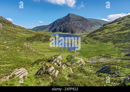 Llyn Idwal vom Pfad hinauf zur Teufelsküche mit Pen yr Ole Wen im Hintergrund, Snowdonia National Park, North Wales, Großbritannien, Juli 2017 Stockfoto