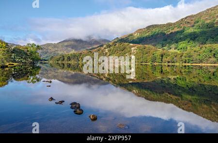 Reflexionen in Llyn Gwynant im Glaslyn Valley mit Blick nach Westen, mit Yr Aran Berg im Hintergrund. Snowdonia-Nationalpark, Nordwales, Großbritannien, September 2017 Stockfoto