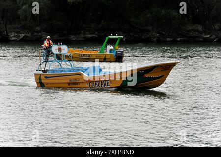 Bootsfahrt durch den beeindruckenden Canyon des Canon del Sunidero, Mexiko, Mittelamerika, gelbes Boot mit Krokodildruck, das auf einem Fluss, San, segelt Stockfoto