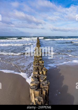 Groynes an der Ostseeküste bei Graal Mueritz Stockfoto