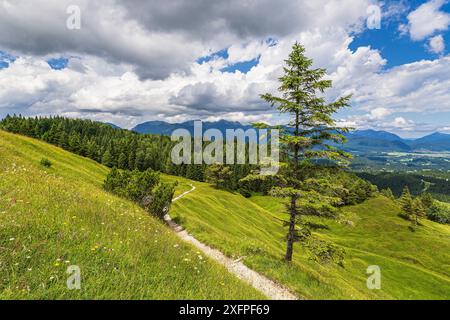 Blick vom Hohen Kranzberg auf das Estergebirge bei Mittenwald Stockfoto