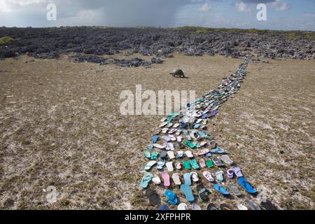 Weg aus Plastikschuhen ( Flipflops), der am Strand gespült wurde und sich innerhalb von 20 Metern von der Bildmitte sammelte. Im Hintergrund befindet sich eine Aldabra-Riesenschildkröte (Aldabrachelys gigantea). Cinq-Fälle, Aldabra Island, Indischer Ozean Stockfoto