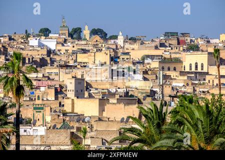 Panoramablick auf die Stadt von den Merinidengräbern, Fès, marokko Stockfoto