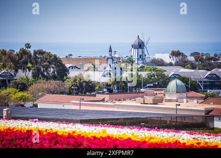 Carlsbad, Kalifornien USA - 7. April 2017: Die Blumenfelder und die Carlsbad Windmühle mit dem Pazifischen Ozean im Hintergrund. Stockfoto