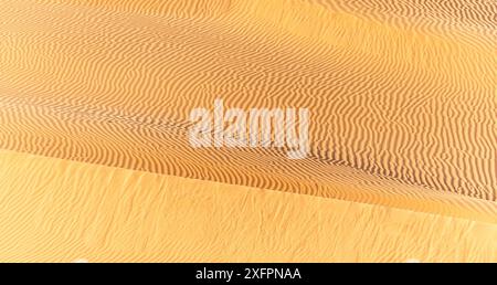 Jeep Safari in der schönen Omani Rub al-Chali Wüste Stockfoto