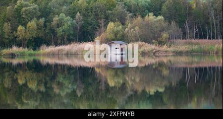 Biodiversität Haff Reimech, Feuchtgebiet und Naturschutzgebiet in Luxemburg, Teich umgeben von Schilf und Bäumen, Vogelbeobachtungspunkt Stockfoto