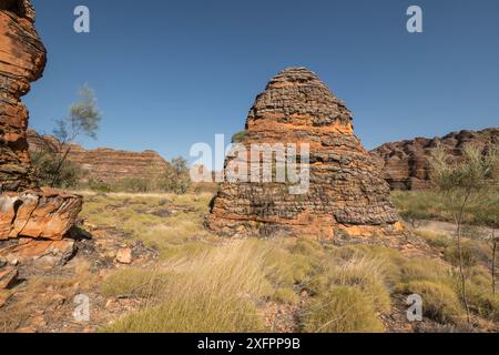 Bungle Bungle Range, bienenstockförmige Karstsandsteinbildung, die durch Erosion gebildet wird, mit dunklen Linien, die durch Cyanobakterien gebildet werden. Purnululu Nationalpark, UNESCO-Weltkulturerbe, Kimberley, Westaustralien. Juni 2016. Stockfoto