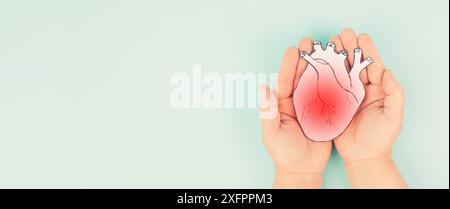 Herzinfarkt, Myokarditis Krankheit, Muskelentzündung, Thrombose und kardialer Stress, Hände halten menschliches Organ Stockfoto