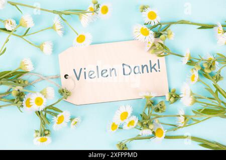 Vielen Dank in deutscher Sprache, Karte mit Blumen, Dankbarkeit, Unterstützung, Hilfe und Wohltätigkeitskonzept, positive Einstellung Stockfoto