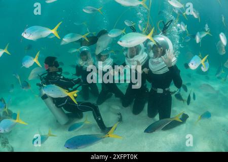 Touristen Helmtauchen und Wandern durch die flachen Riffe von Green Island, umgeben von tiefem Körper Füsilier (Caesio List) Great Barrier Reef, Queensland, Australien Oktober 2016. Stockfoto