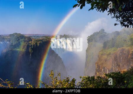 Victoria Falls die zweite Schlucht auf dem Fluss fällt in die Victoria Wasserfälle im Winter, während sie viel Wasser transportieren Stockfoto