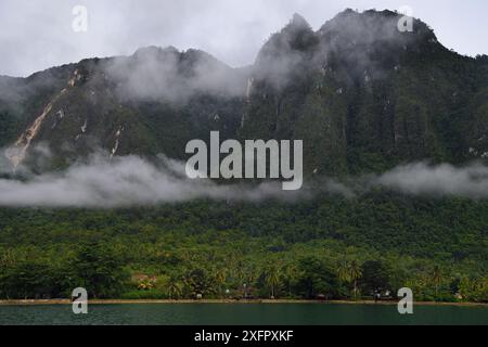 Morgennebel in den Regenwäldern rund um das Dorf Lobo, Triton Bay, das Festland Neuguinea, Westpapua und Indonesien-Neuguinea Stockfoto