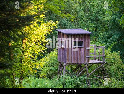 Jäger aus Holz verstecken sich tief im Wald Stockfoto