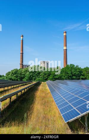 Solarmodule eines Solarparks vor dem stillgelegten Braunkohlekraftwerk Plessa mit zwei Schornsteinen und Kühltürmen, Plessa, Lausitz Stockfoto