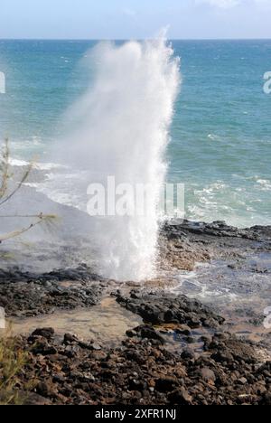 Spouting Horn in Poipu, Kauai, Hawaii, USA Stockfoto