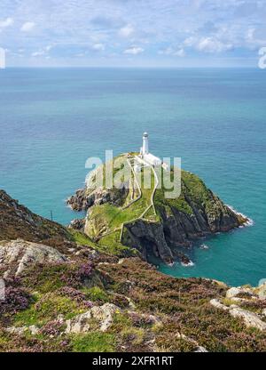 South Stack Lighthouse liegt vor Holy Island in der Nähe von Holyhead Anglesey, North Wales, Großbritannien, September. Stockfoto