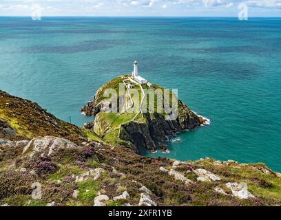 South Stack Lighthouse liegt vor Holy Island in der Nähe von Holyhead Anglesey, North Wales, Großbritannien, September. Stockfoto