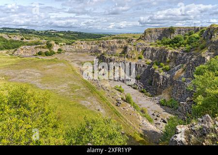 Minera Limeworks hat den Kalksteinbruch stillgelegt, heute ein North Wales Wildlife Trust Reserve in der Nähe von Minera, westlich von Wrexham, North Wales, Großbritannien, im August. Stockfoto