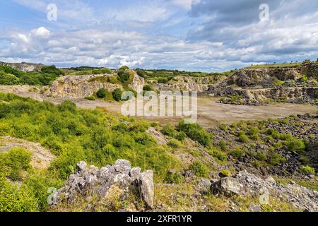 Minera Limeworks hat den Kalksteinbruch stillgelegt, heute ein North Wales Wildlife Trust Reserve in der Nähe von Minera, westlich von Wrexham, North Wales, Großbritannien, im August. Stockfoto