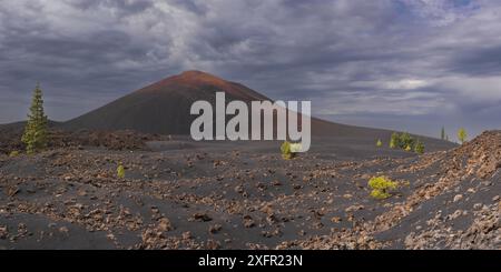 Vulkan Chinyero, Arena Negras Zone, Teide Nationalpark, Teneriffa, Kanarische Inseln, Spanien Stockfoto