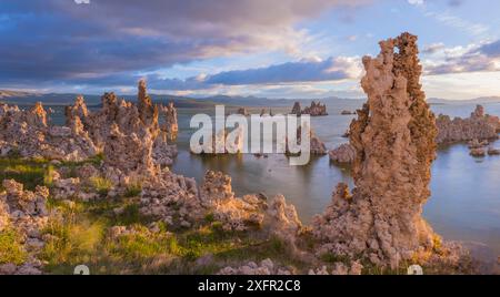 Tuffstein Türme entlang Mono Lake, die als Natriumcarbonat reagiert mit Kalzium reiche Quellwasser bilden. Mono Lake, Kalifornien, USA. Juni 2017. Stockfoto