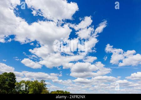 Himmel im Frühsommer an einem sonnigen Tag mit blauem Himmel und flauschigen weißen Cumuluswolken Stockfoto