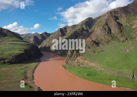 Fluss Yangtze und Herde von Bluesheep (Pseudois nayaur) Sanjiangyuan National Nature Reserve, Qinghai Hoh XIL UNESCO-Weltkulturerbe, Qinghai-Tibet-Plateau, Provinz Qinghai, China. Stockfoto