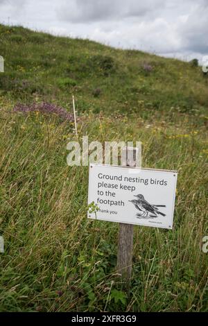 Schild mit Warnung vor nistenden Vögeln, Meadow Pipits (Anthus pratensis), Old Winchester Hill National Nature Reserve, South Downs National Park, Großbritannien. August 2017. Stockfoto