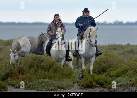 Gardians zu Pferd, Camargue, Frankreich, Mai, Stockfoto