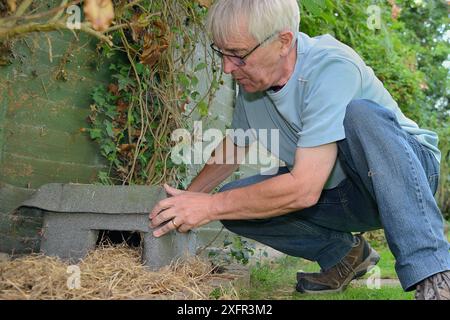 Hausgemachtes Igelhaus in einem Vorstadtgarten mit Strohbeet vom Hausbesitzer Chippenham, Wiltshire, Großbritannien, August. Modell freigegeben. Stockfoto